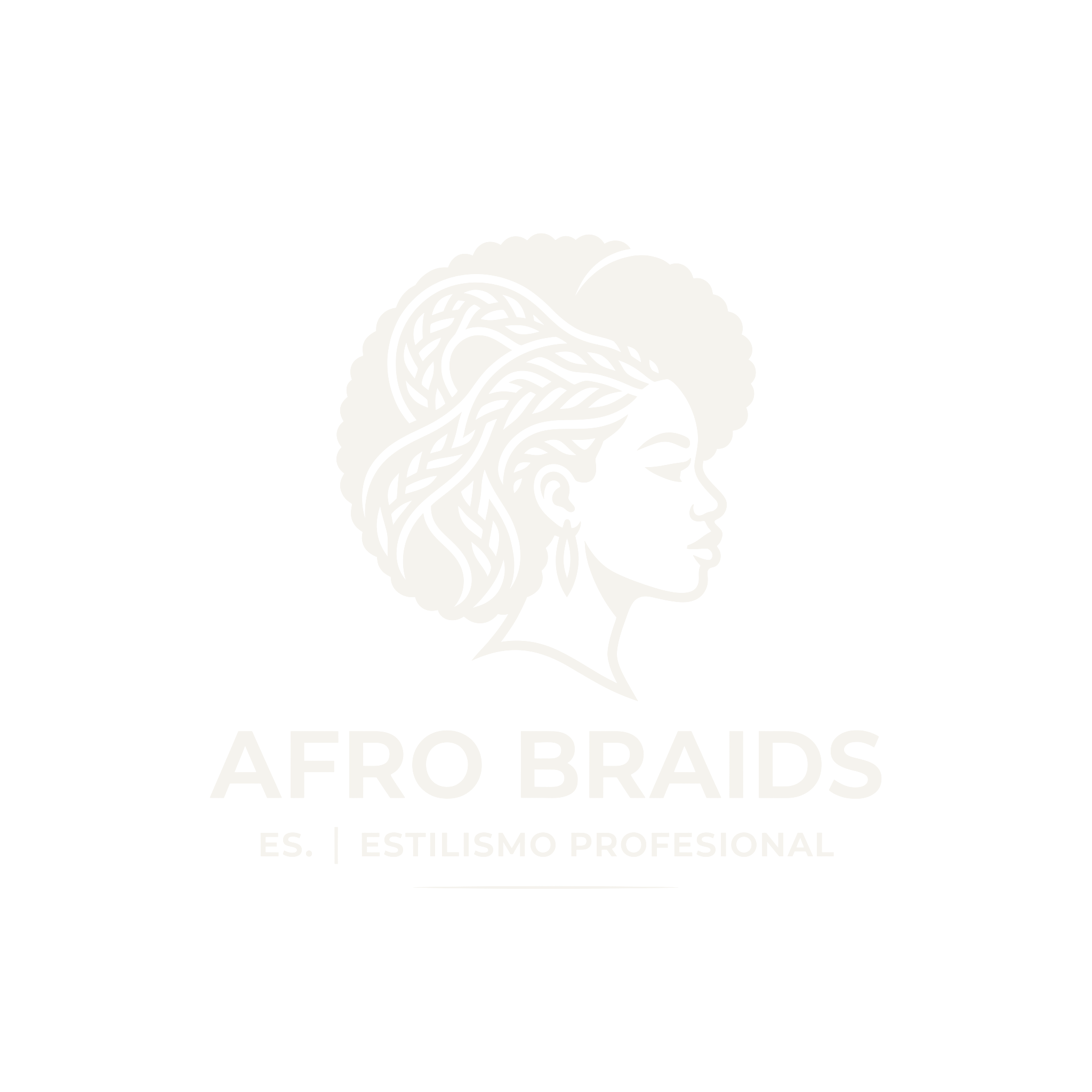 Afro Braids